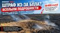 Штраф из-за БПЛА? Всплыли подробности истории с фермером, которого наказали после пожара на Дону