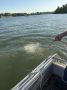 ������ ���� ����� ��������� ���������� ���� ��������, ������� ������ � ���������� � ��� � �����