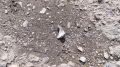 16 ������������ ������ � ���� ����������� ���������� � ���������� ��������� ����� �� ��������