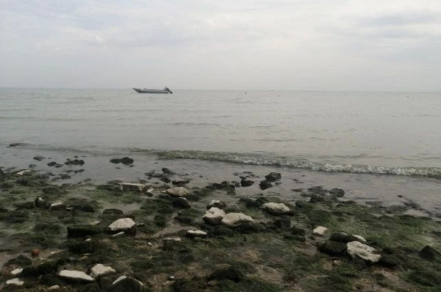 На Дону ученые раскрыли причину разрушения берегов Азовского моря