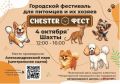 4 ������� � ��������������� ����� ������ ����� ������� ��������� CHESTER ����