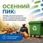 Осень на Дону: почему регоператор не вывозит листву и ветки