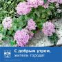 Доброе утро.. Хорошего дня и солнечного настроения! #доброеутро #волгодонск #администрацияволгодонска
