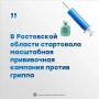 В Ростовской области стартовала масштабная прививочная кампания против гриппа