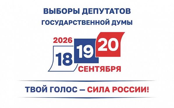 На Дону, как и во всей России, стартовало голосование на выборах депутатов Госдумы