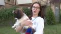 В Ростове открыли сквер «Кленовый дворик»