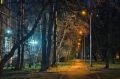 Почему яркие фонари в ростовских парках не виноваты в размножении крыс и клещей, рассказала эколог