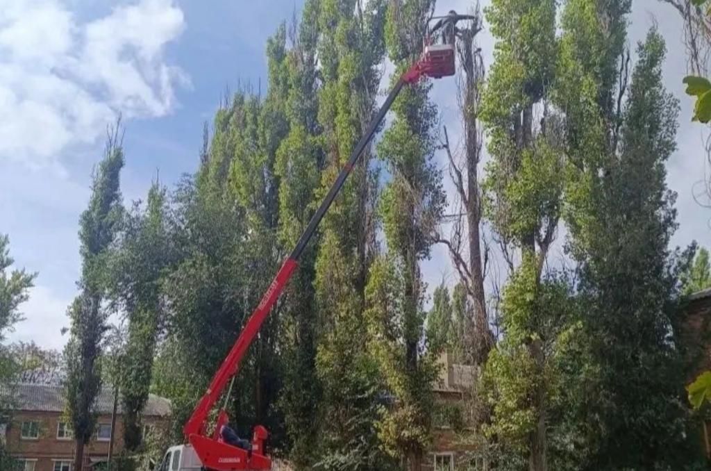 Денис Бурыка помог жителям поселка Красный Сад с обрезкой сухостоя