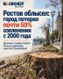 Ростов облысел: город потерял почти 50% озеленения с 2000 года