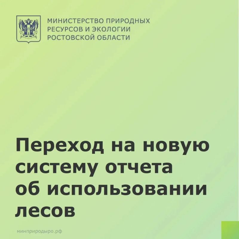 Переход на новую форму отчета об использовании лесов: что нужно знать лесопользователям