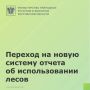 Переход на новую форму отчета об использовании лесов: что нужно знать лесопользователям