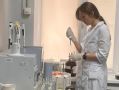 В Ростовской области проверили качество и безопасность более 1 млн тонн плодоовощной продукции местного производства