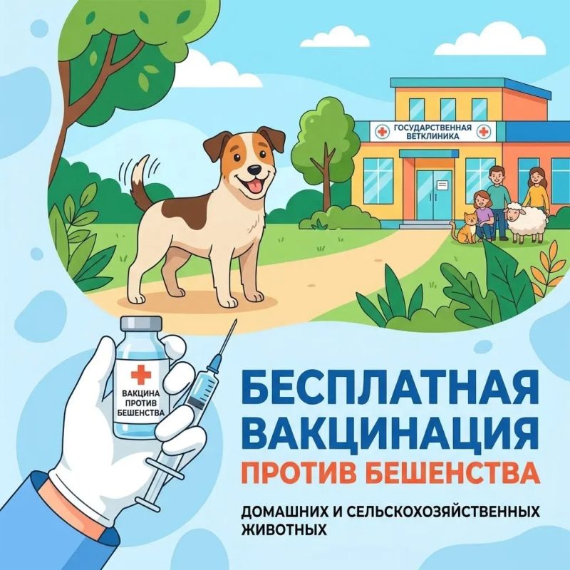 Бесплатная вакцинация животных против бешенства