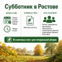 8 ключевых мест определили в Ростове для проведения субботника