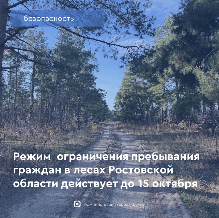В Ростовской области действуют ограничения на пребывание в лесах