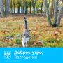Доброе утро!. Хорошего настроения и продуктивного завершения недели!
