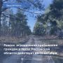 В Ростовской области действуют ограничения на пребывание в лесах