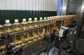 Из-за проблем с экспортом в Ростовской области могут временно встать маслозаводы