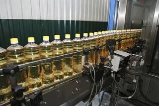Из-за проблем с экспортом в Ростовской области могут временно встать маслозаводы