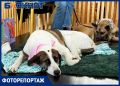 ���� ������ � � �����: ��� �������� �� ������� ������ ������ � ������� � ������������