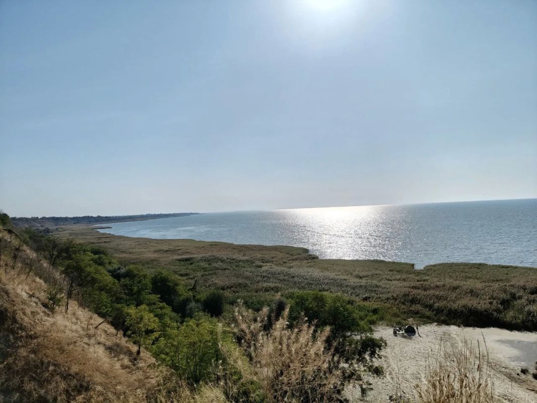 Как спасти Азовское море: ученые ищут решения в Ростове-на-Дону