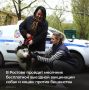 � ������� ������� �������� ���������� �������� ���������� ����� � ����� ������ ���������
