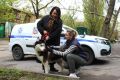 В Ростове-на-Дону пройдет месячник бесплатной выездной вакцинации собак и кошек против бешенства