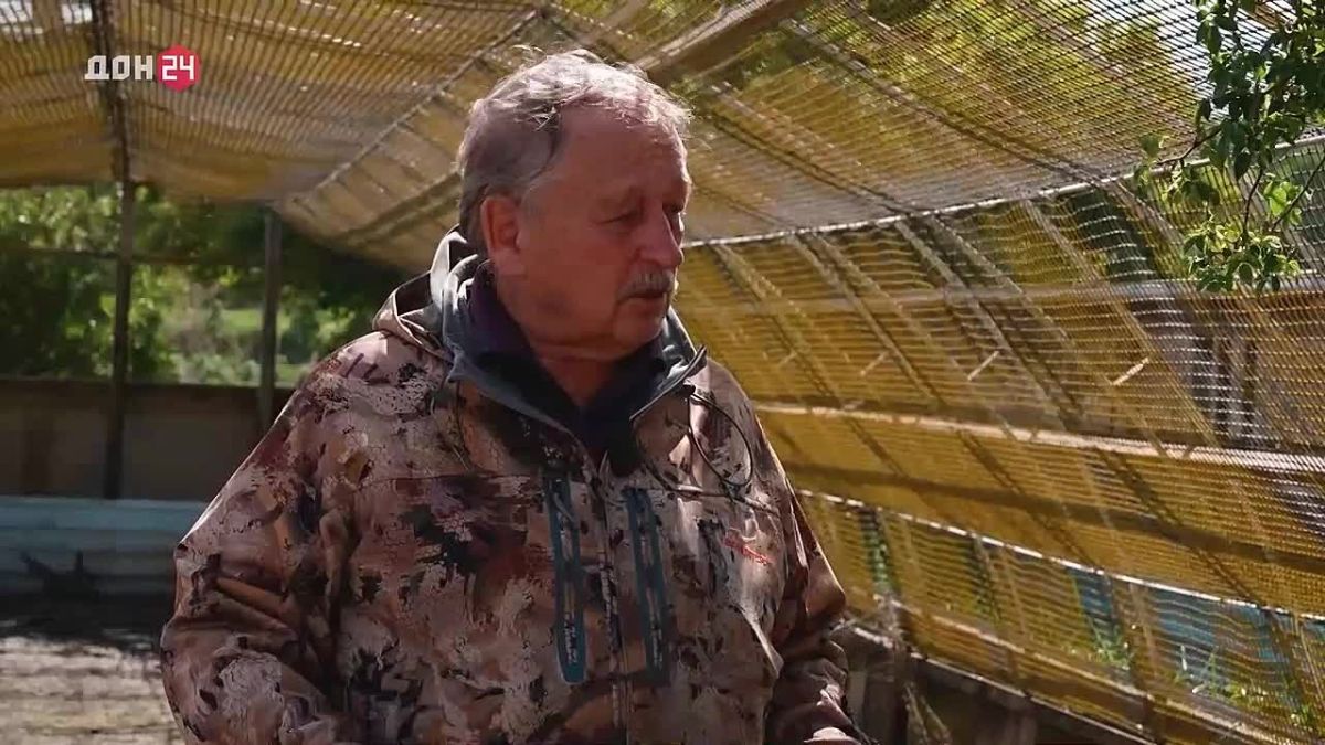 Куропатка: мастер маскировки и рекордсменка по потомству