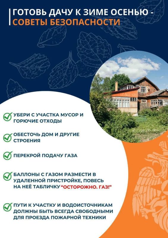Народные советы безопасности
