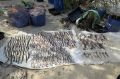Сотрудниками уголовного розыска Волгодонского линейного отдела полиции при содействии специалистов рыбоохраны в ходе оперативных мероприятий на берегу Цимлянского водохранилища выявлен ранее судимый 36-летний житель...