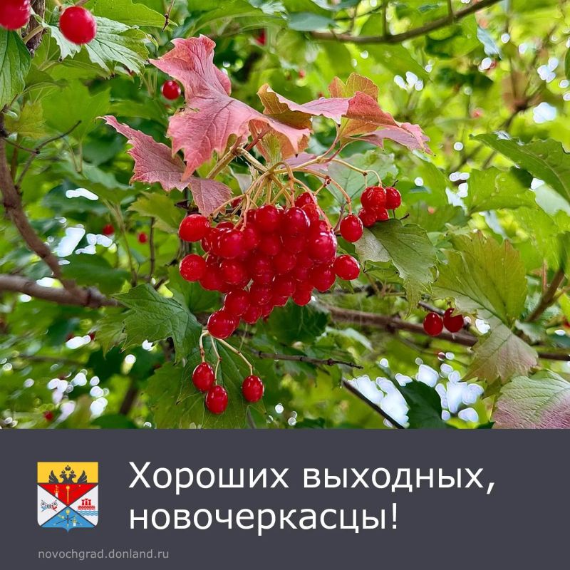 Суббота, 3 октября облачно, без осадков