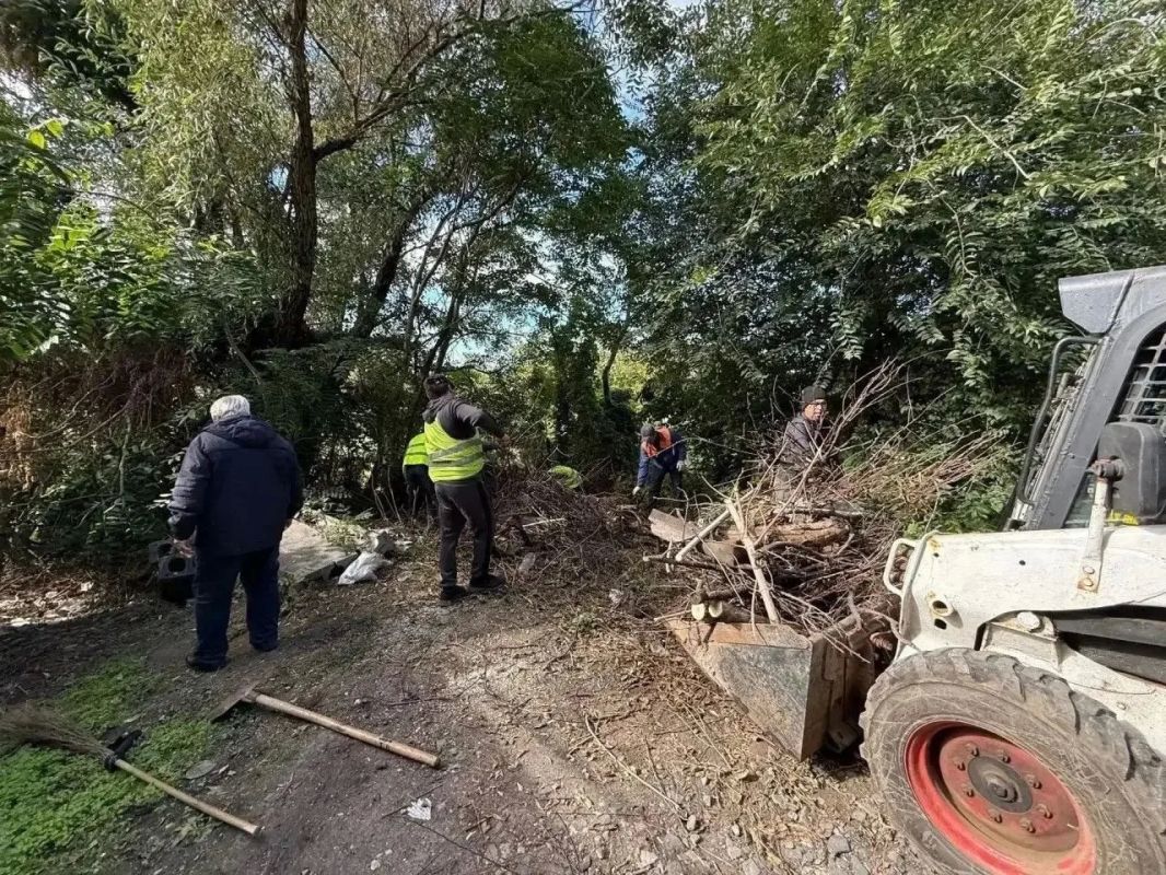 В Ростове за время Месячника чистоты вывезли более 340 тонн мусора, сообщил глава города Александр Скрябин