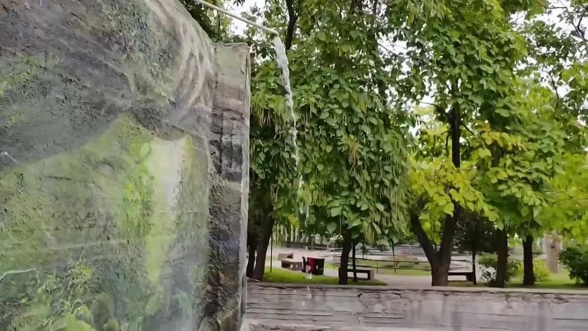Уже сегодня медведицы Маша и Даша заселятся в свой новый дом