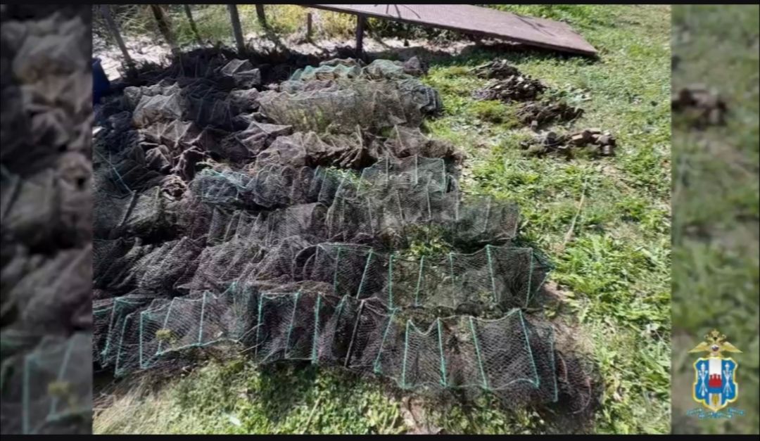 В акватории р. Дон пресечен незаконный вылов биоресурсов