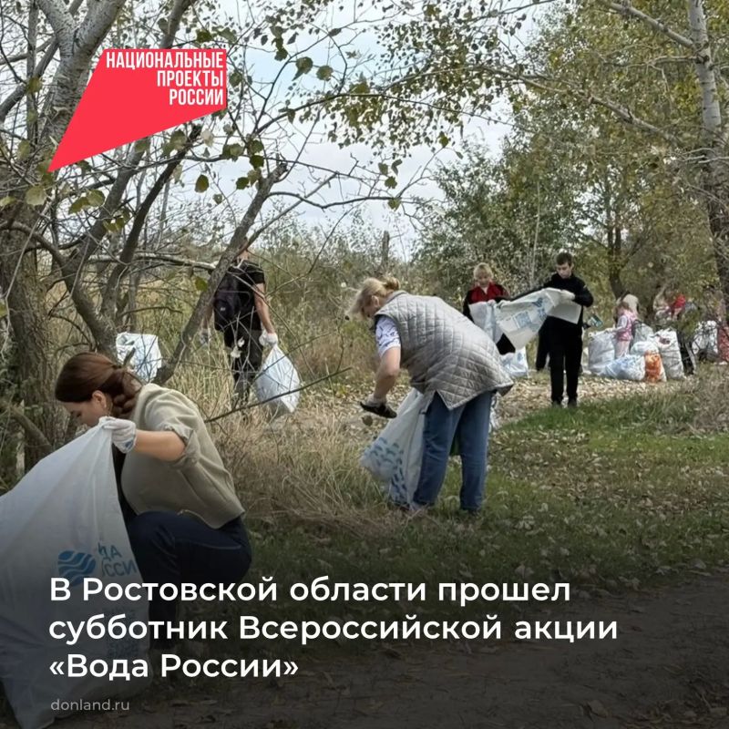 В Ростовской области прошёл экологический субботник в рамках проекта «Вода России» нацпроекта «Экологическое благополучие»