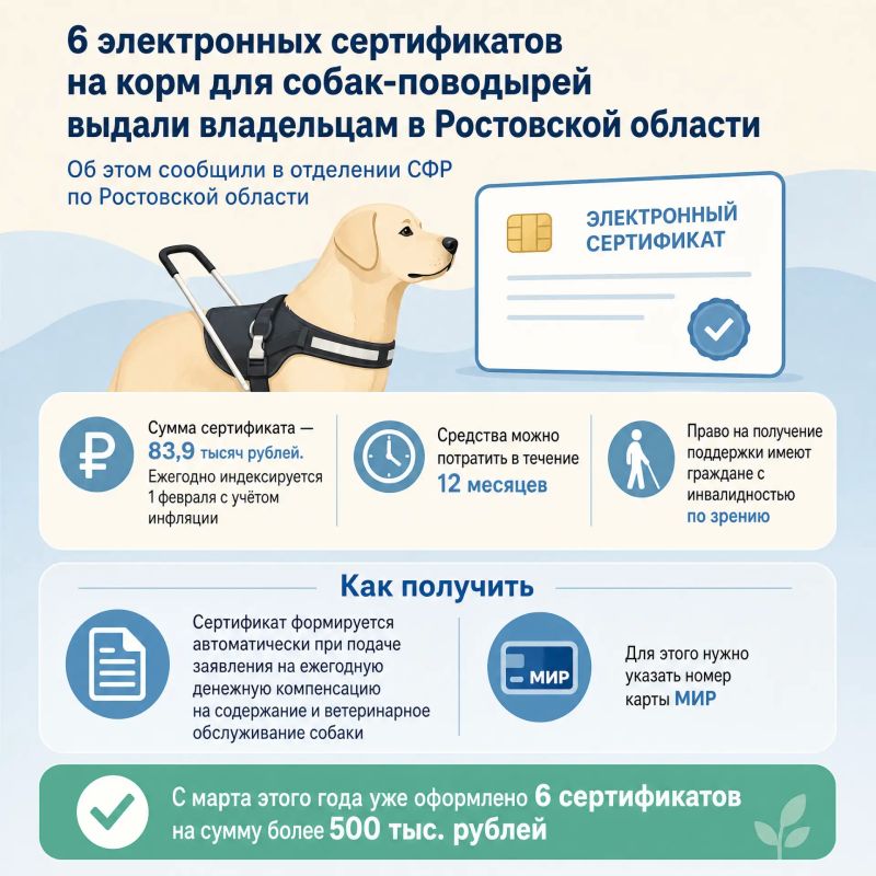 6 электронных сертификатов на корм для собак-поводырей выдали владельцам в Ростовской области