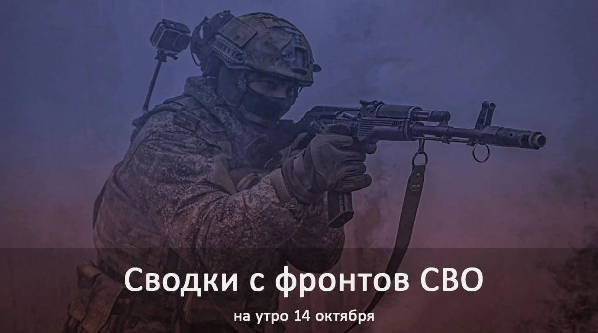 Группировка «Центр» освободила Московское в Донецкой Народной Республике и зашла в восточные районы Димитрова в ДНР
