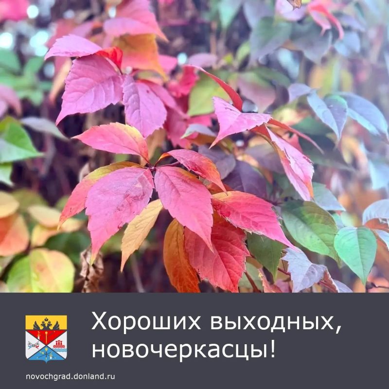 В субботу, 24 октября, ожидается переменная облачность, без осадков