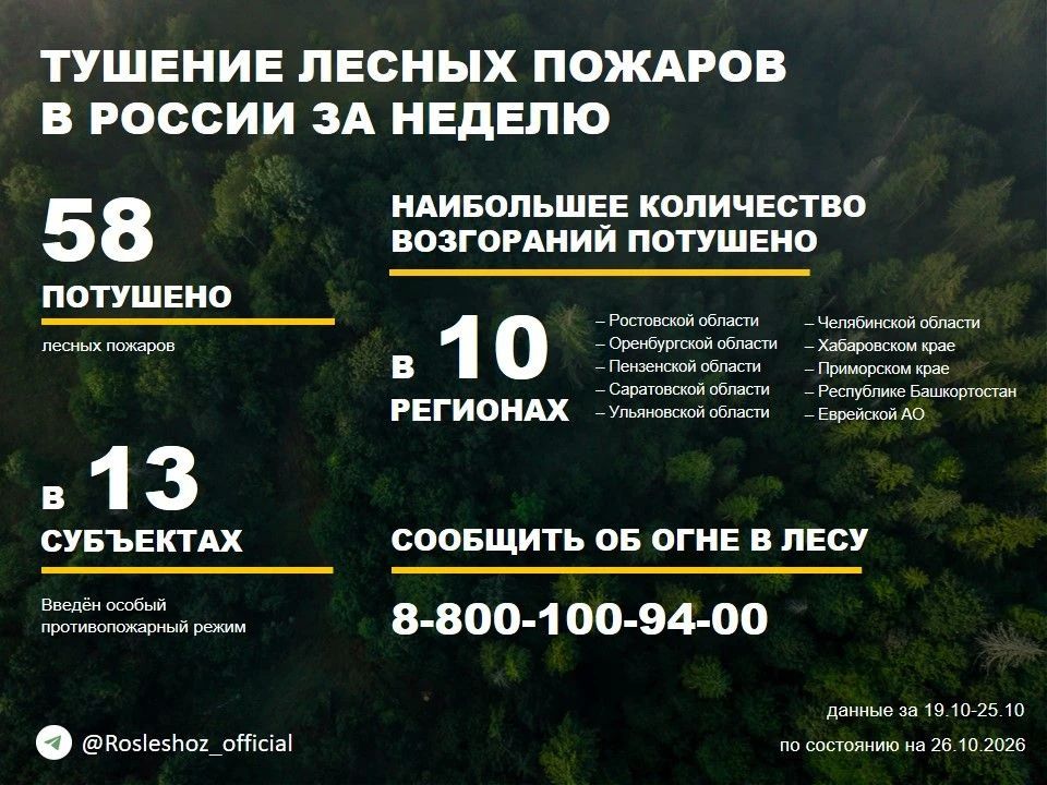 По данным Авиалесоохраны, подведомственной организации Рослесхоза, за прошедшую неделю потушено 58 лесных пожаров в 17 регионах России