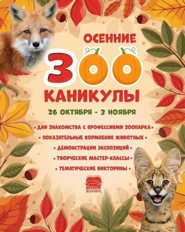 Дорогие ростовчане и гости города!