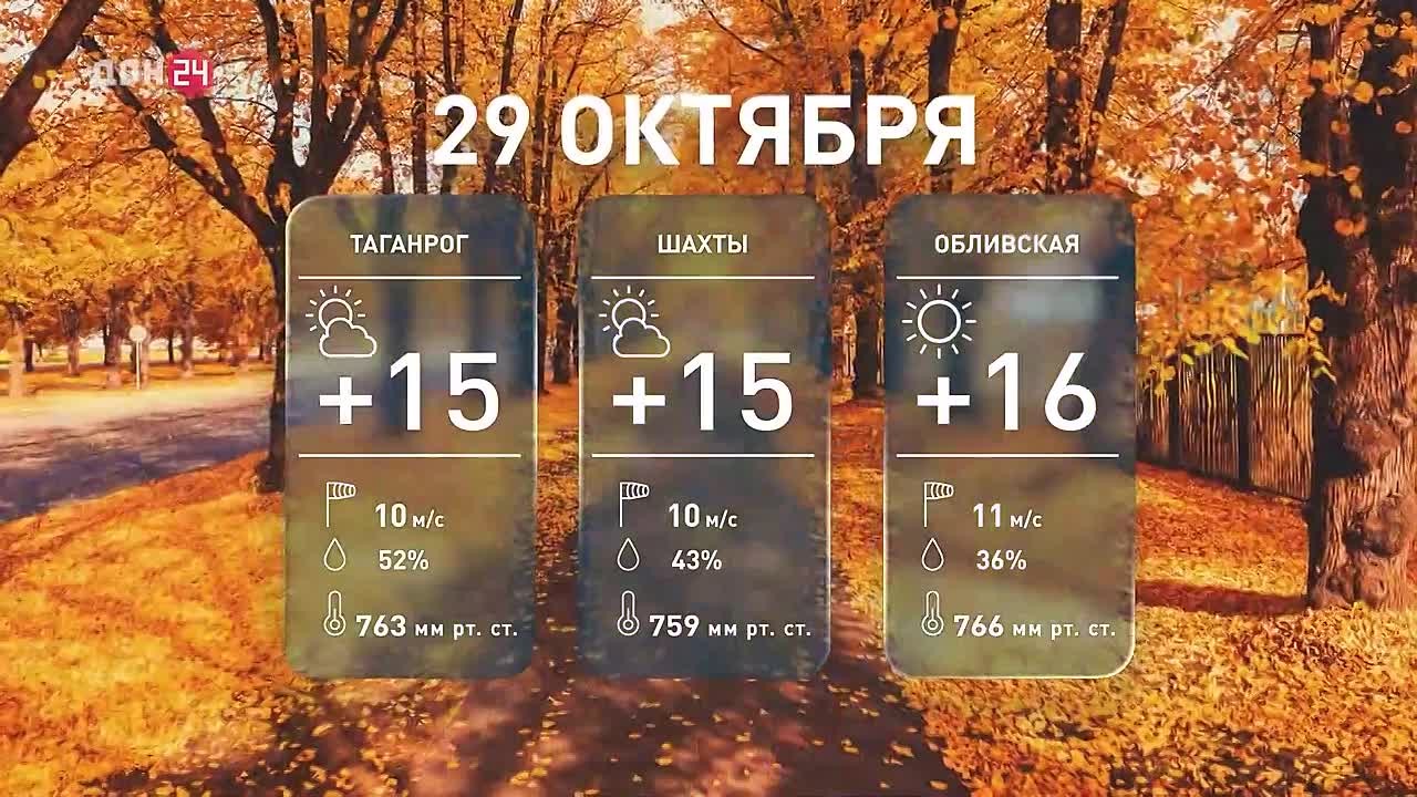 Ветер, но без дождя: какую погоду прогнозируют дончанам сегодня?