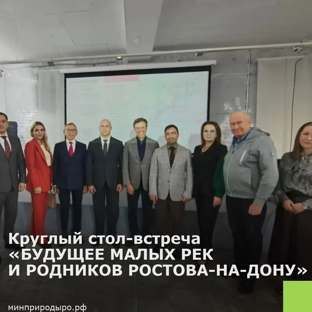 В галерее «Ростов» прошел круглый стол «Будущее малых рек и родников Ростова»